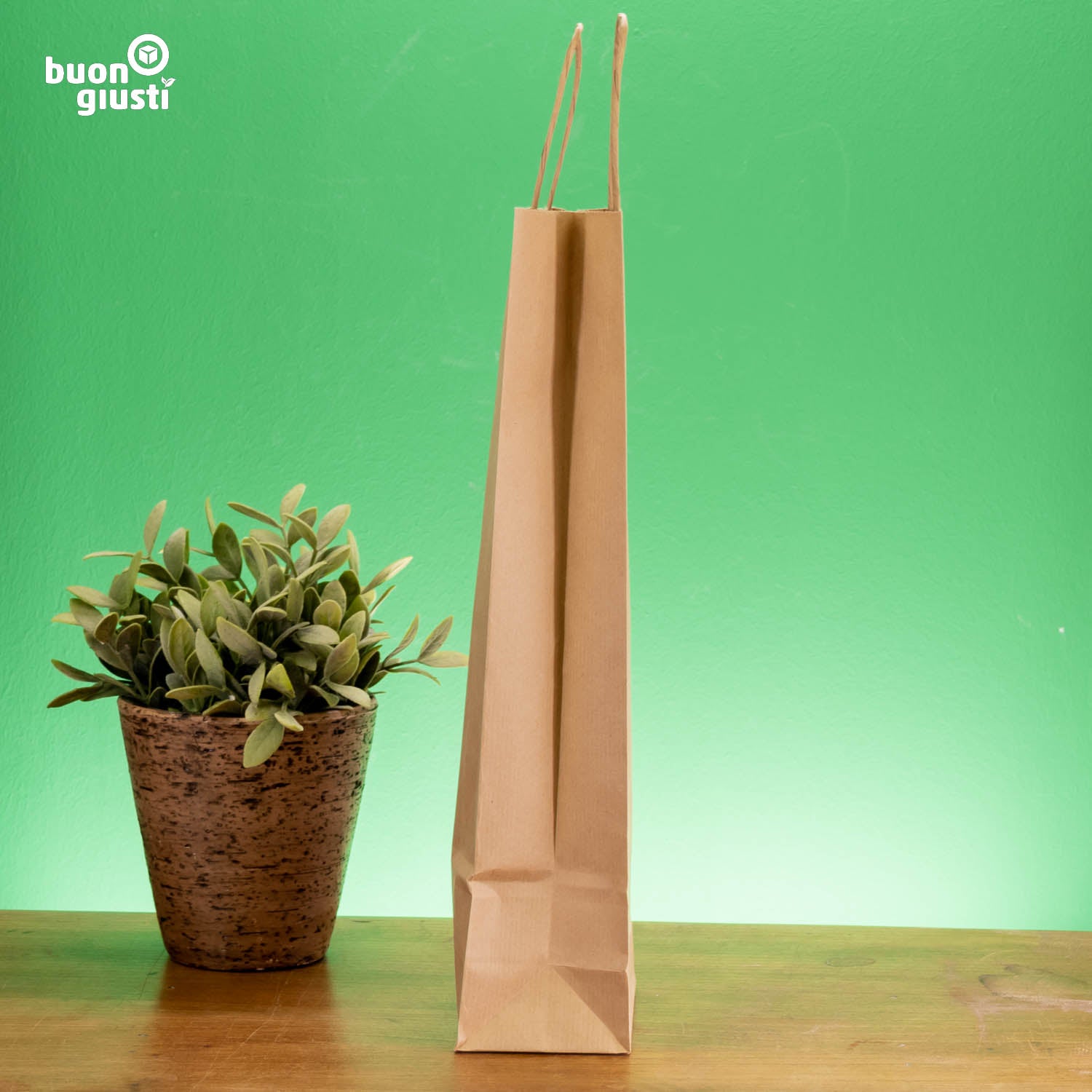 Paper bag without logo - All sizes